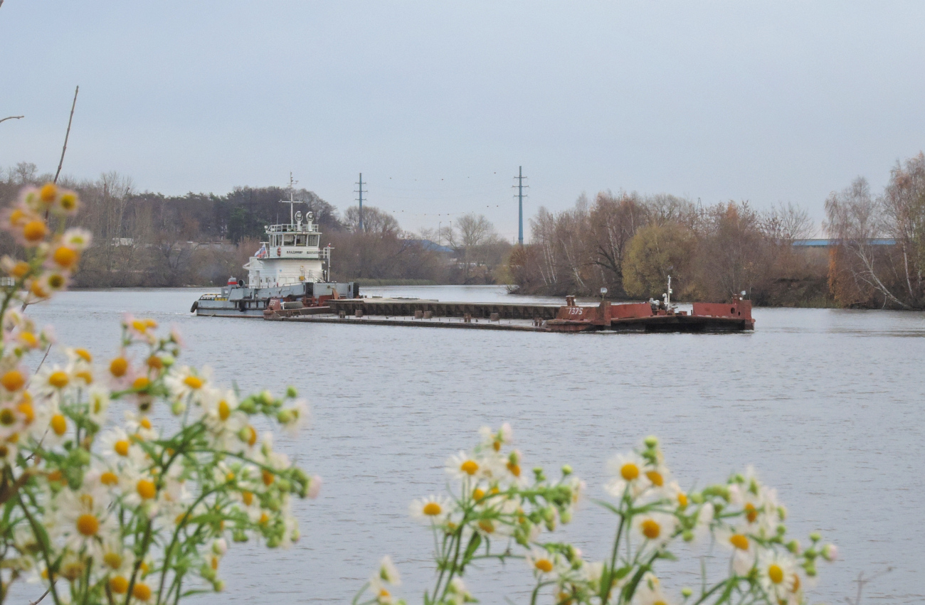 Владимир Шарапов, 7375