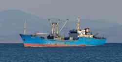 Атропус (Рефрижераторы, Владивосток)