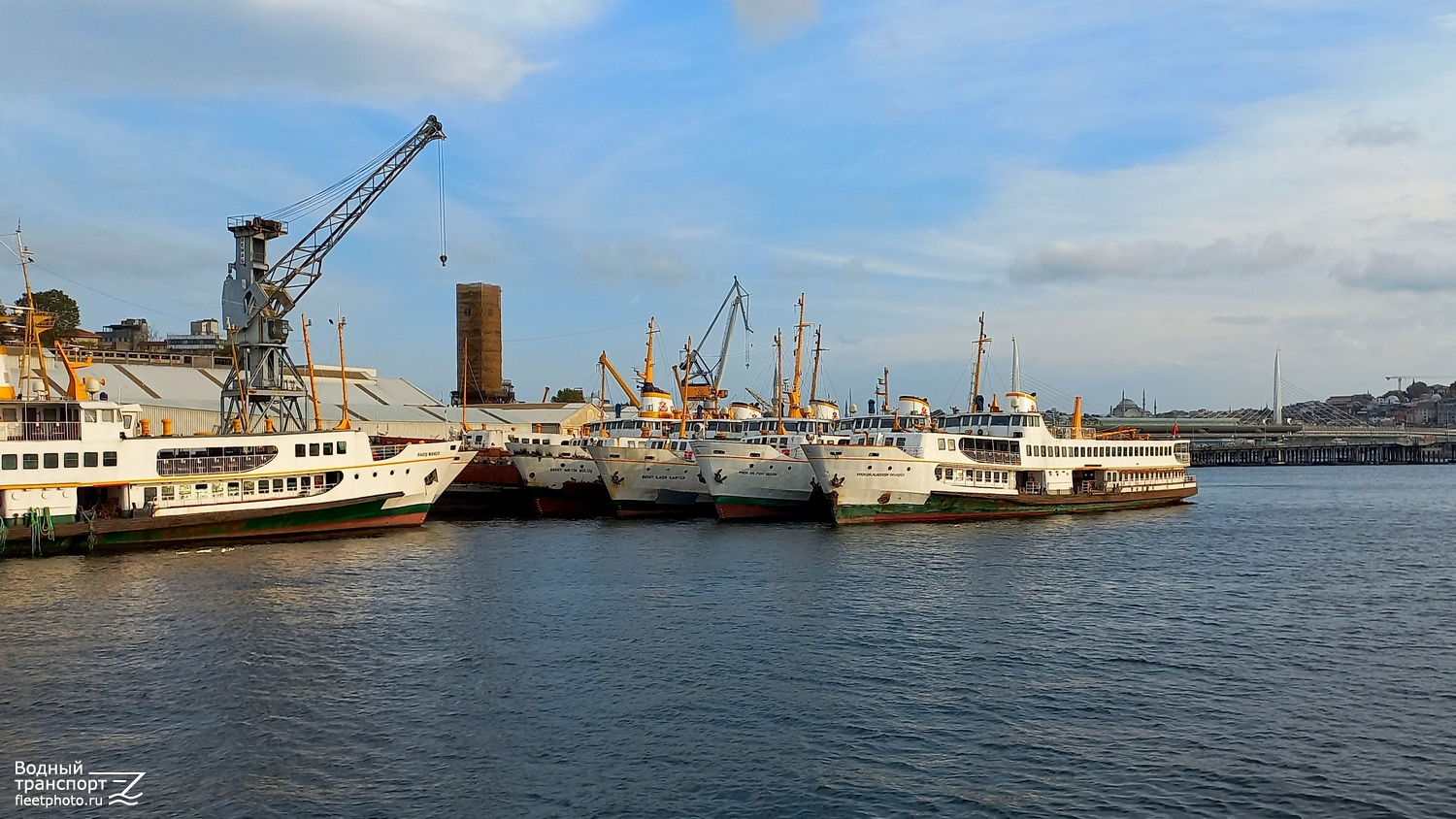 Sehit Metin Sulus, Sehit Ilker Karter, Prof.Dr Fuat Sezgin, Prof. Dr. Alaeddin Yavasca