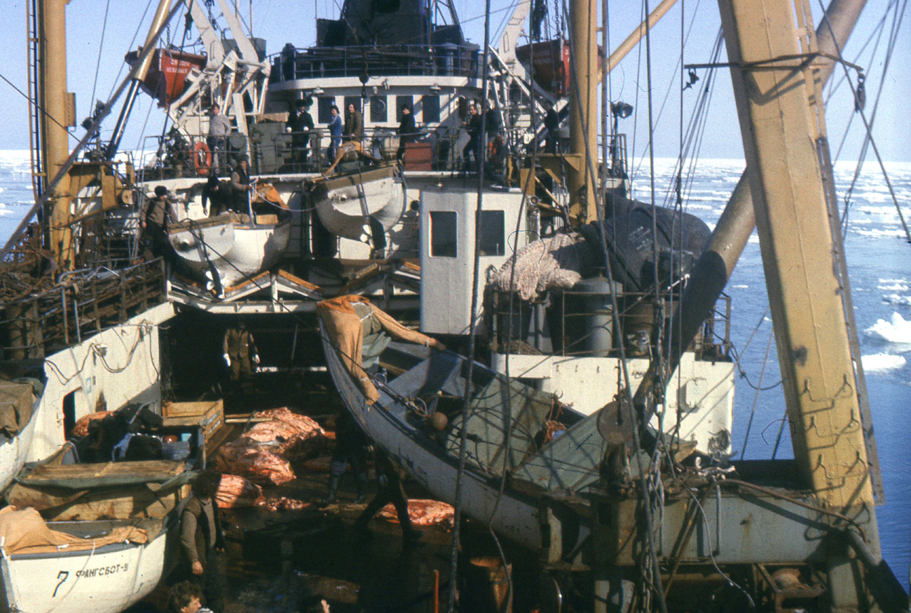 Зыково. Deck views