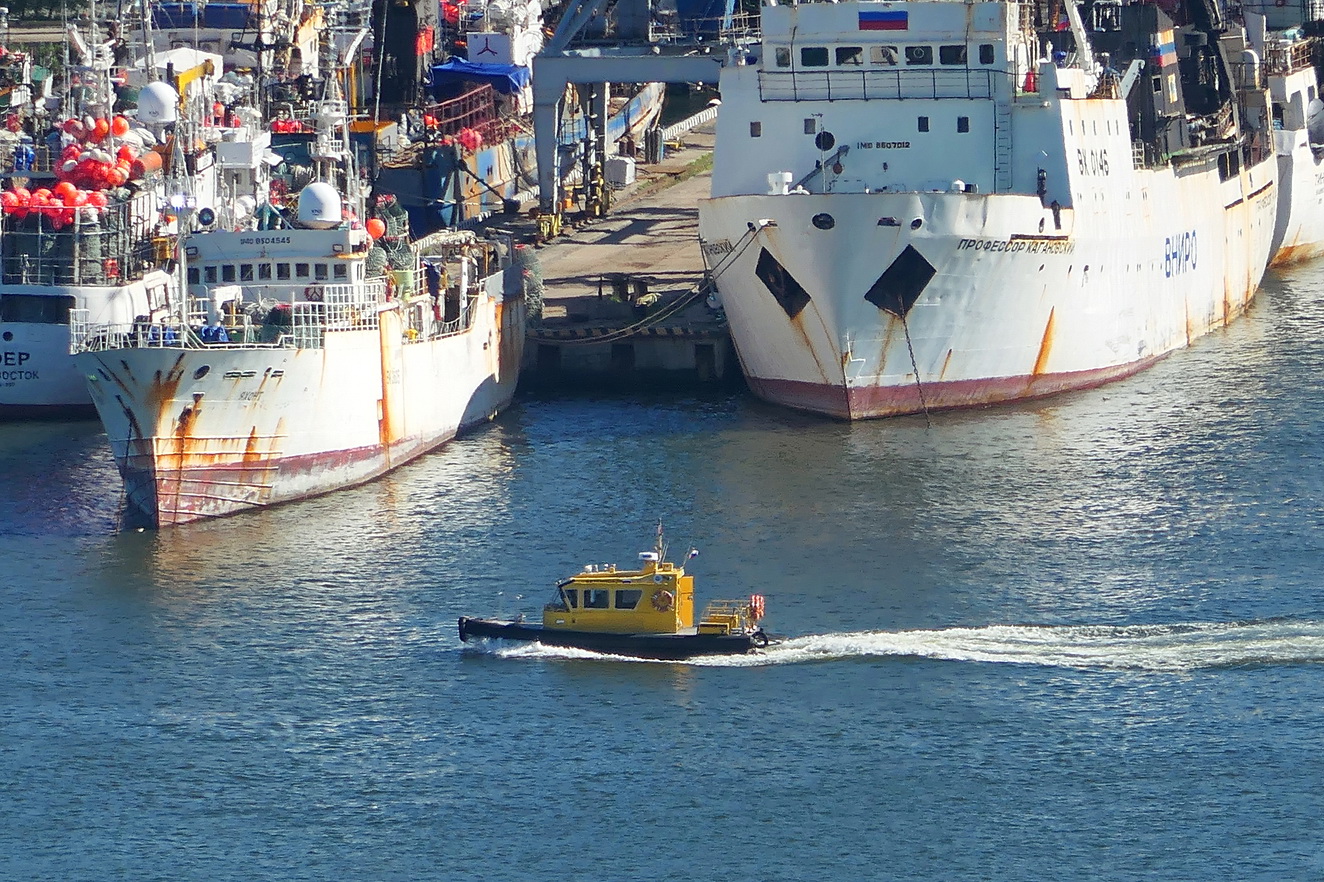 Яхонт, Сириус, Профессор Кагановский