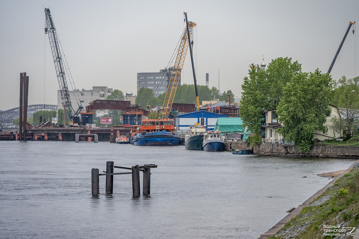 Форпост, Невская Застава, Ирида, Сескар, Катя