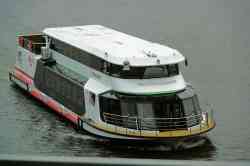 Стрельна (Проект EM901 Ecocruiser-M,  тип Стрельна, Санкт-Петербург)