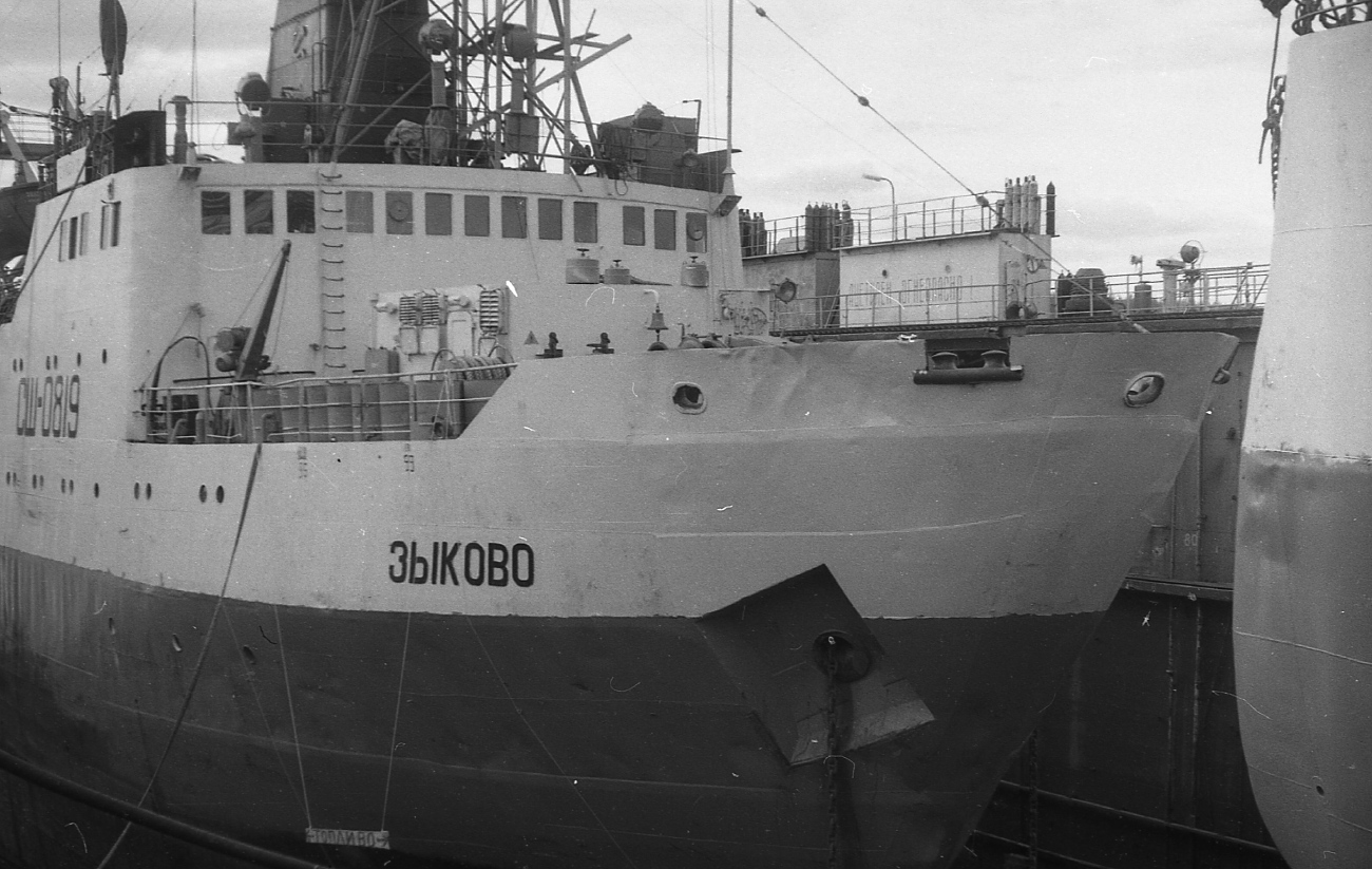 Зыково. Elements and details