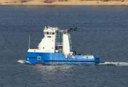 Альтаир (Проект 81, Санкт-Петербург)