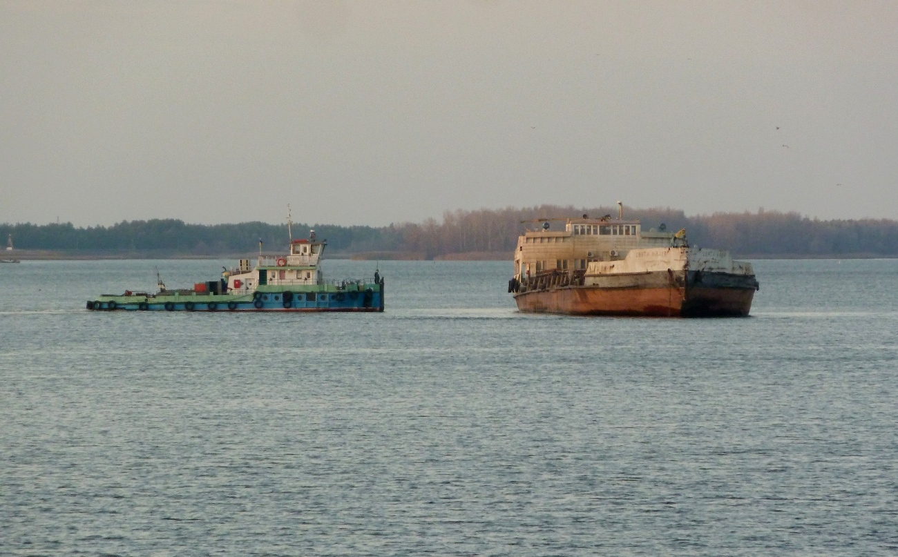 Свята Надiя, БТ-439