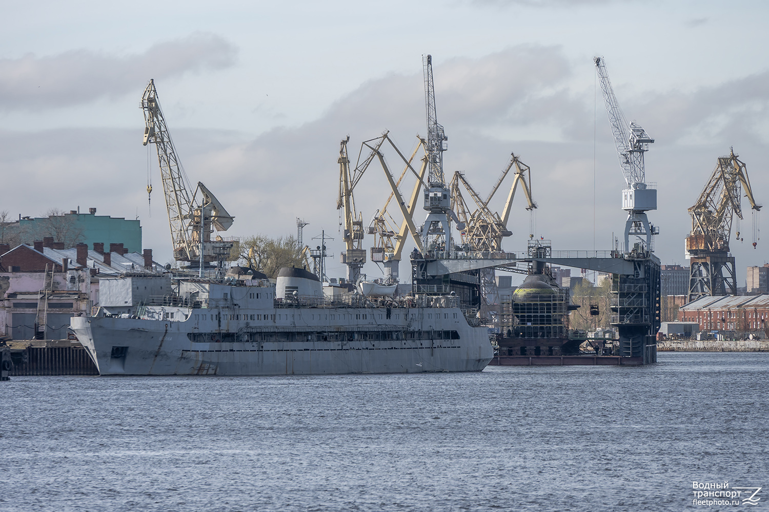 Волна, Луга. Балтийский бассейн