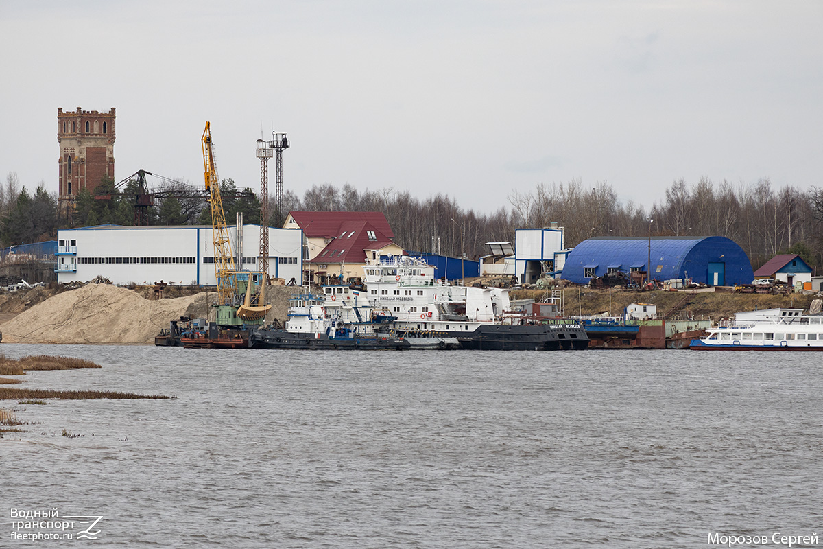 Повенец, Николай Медведев
