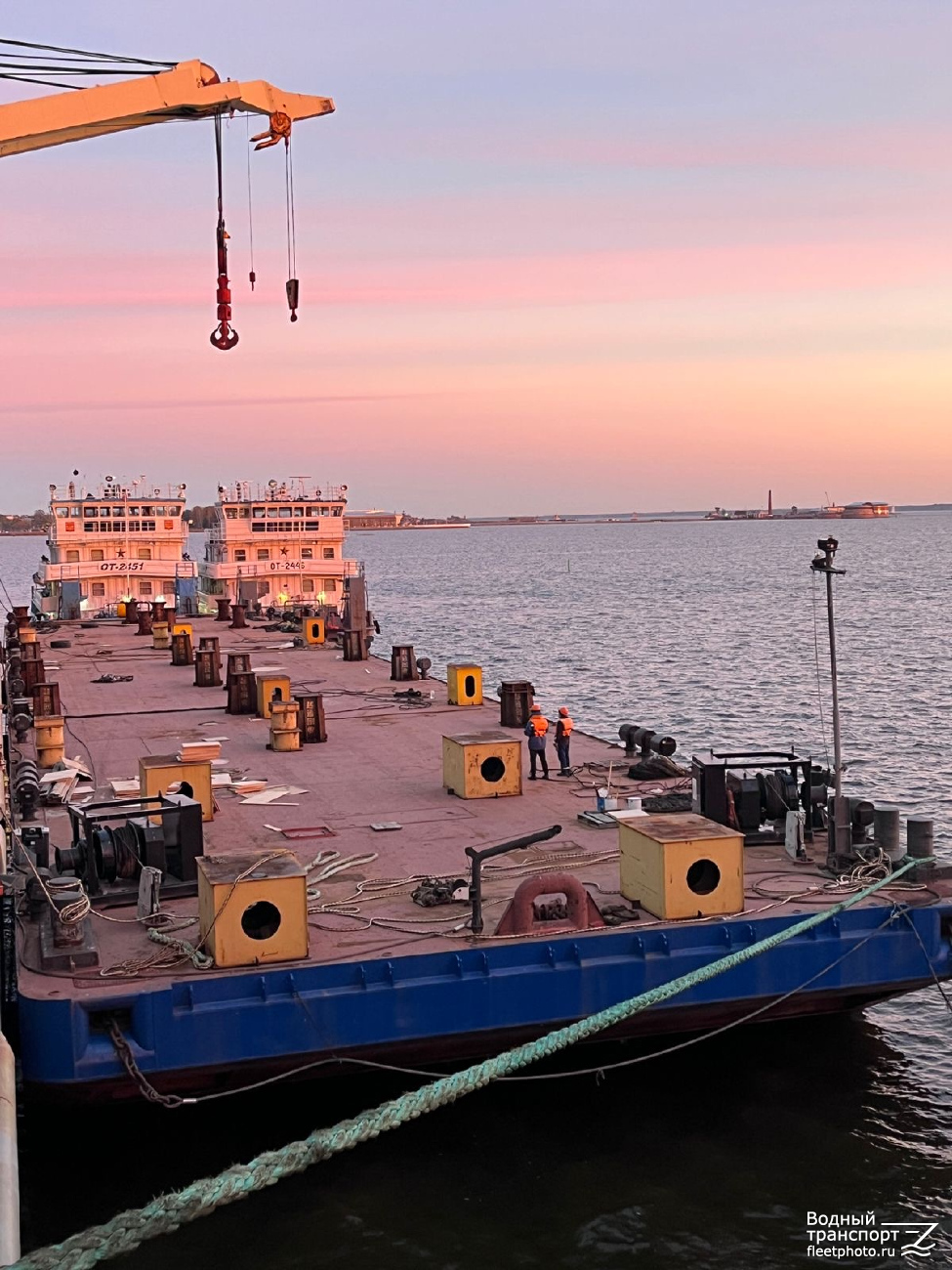 ОТ-2446, ОТ-2451, Сильвер-3002