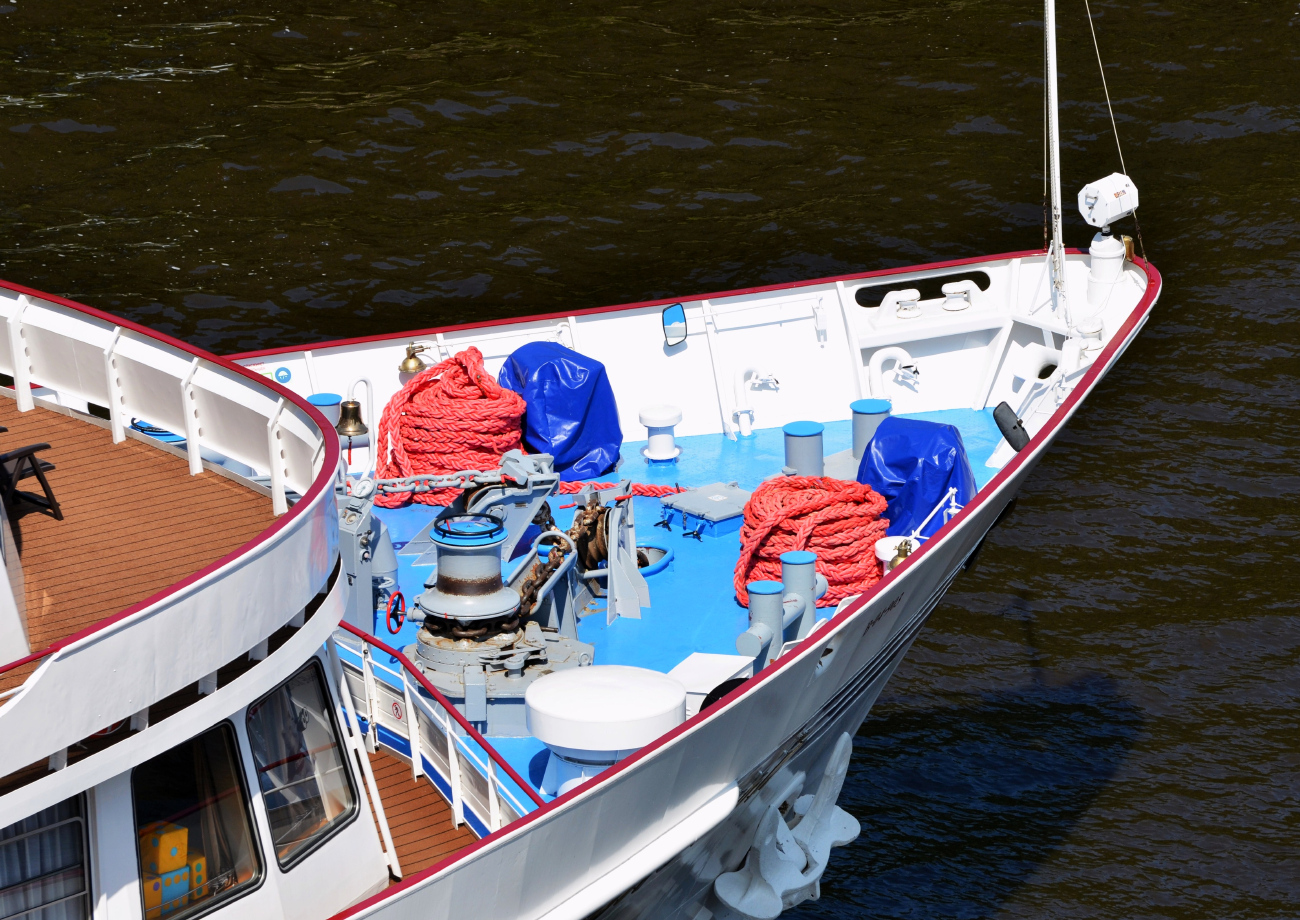 Лев Толстой. Элементы и детали