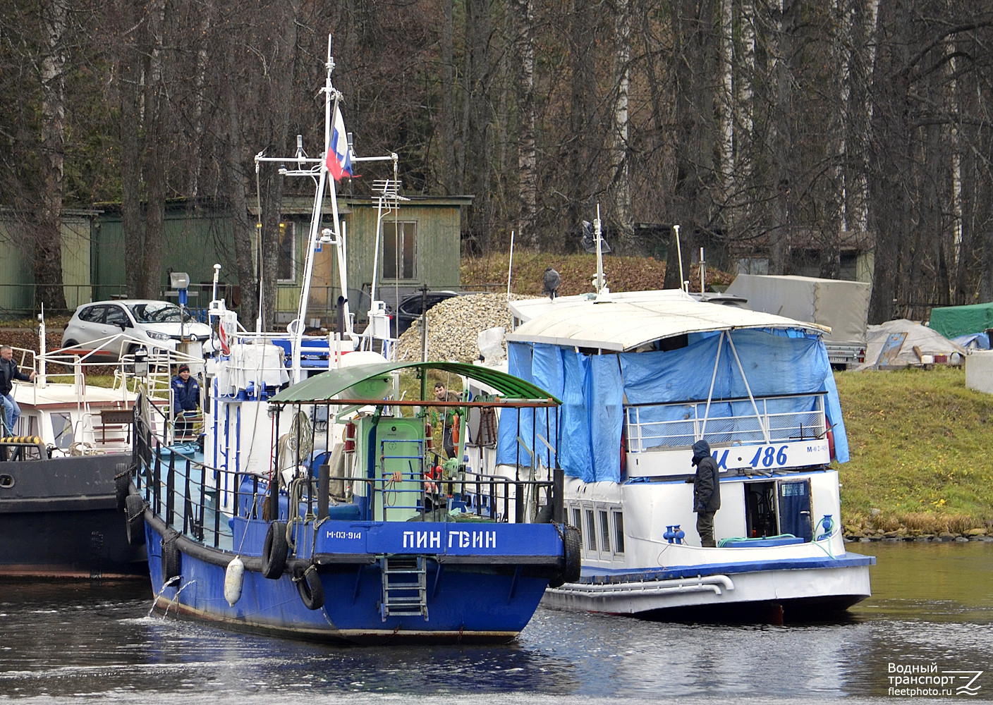 Пингвин, М-186