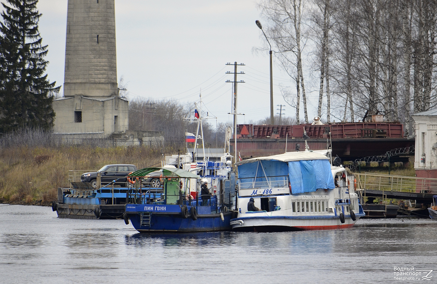 Пингвин, М-186