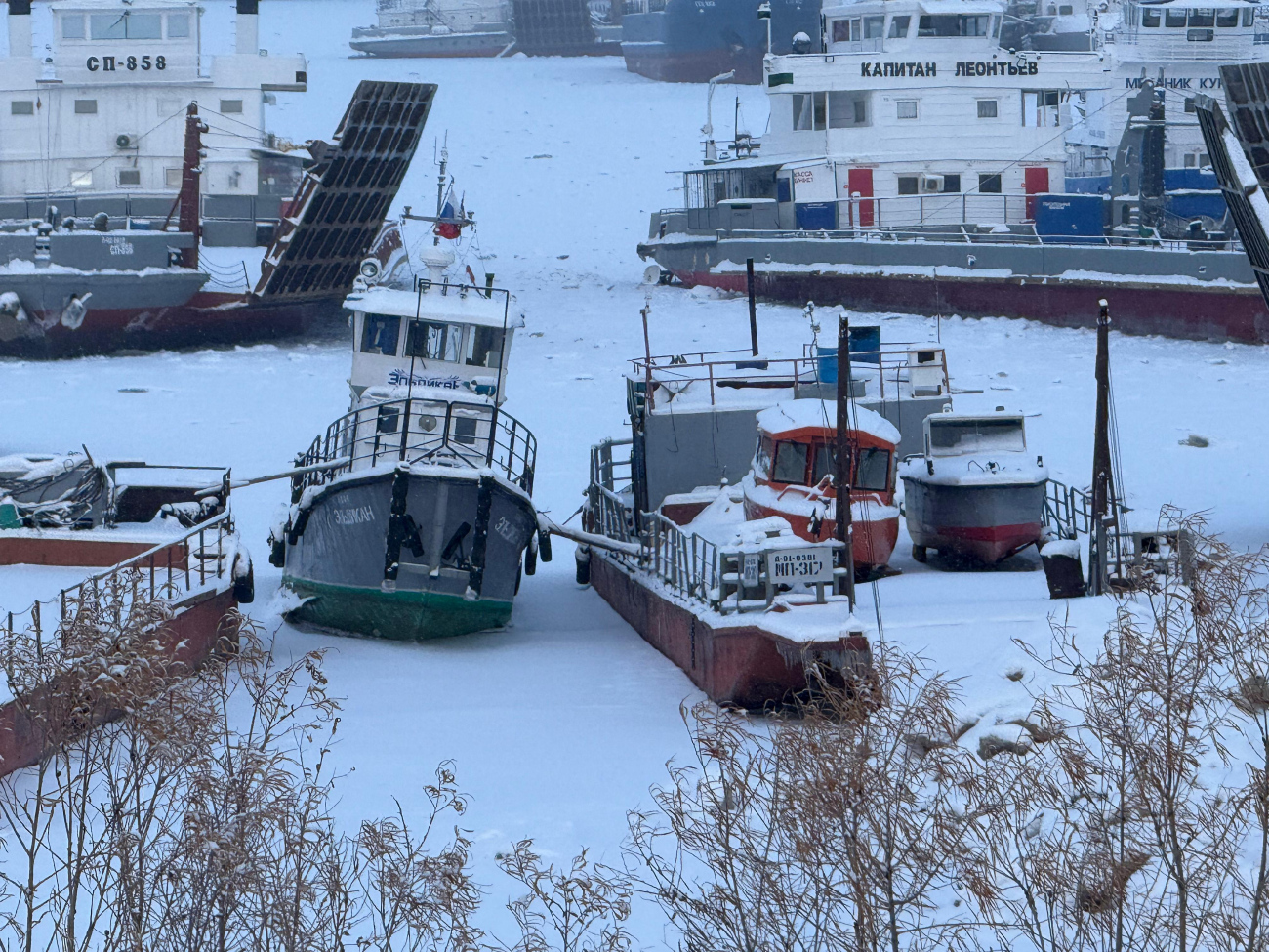 Эльдикан, МП-317