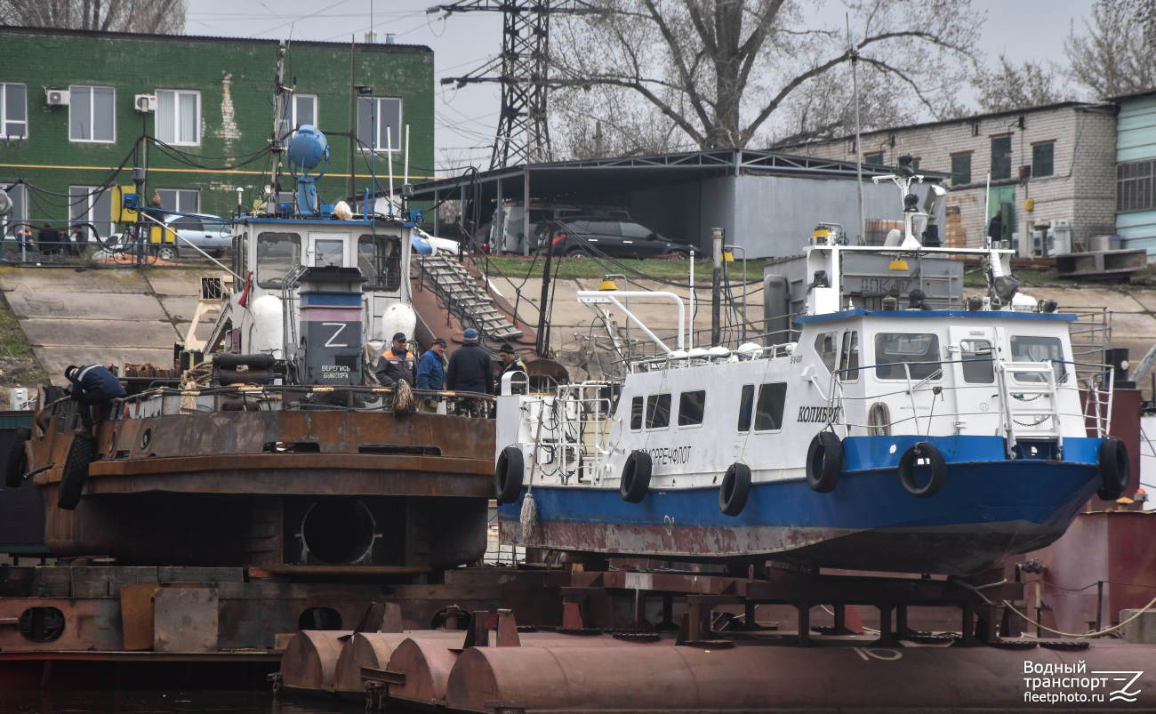 Калан, Колибри