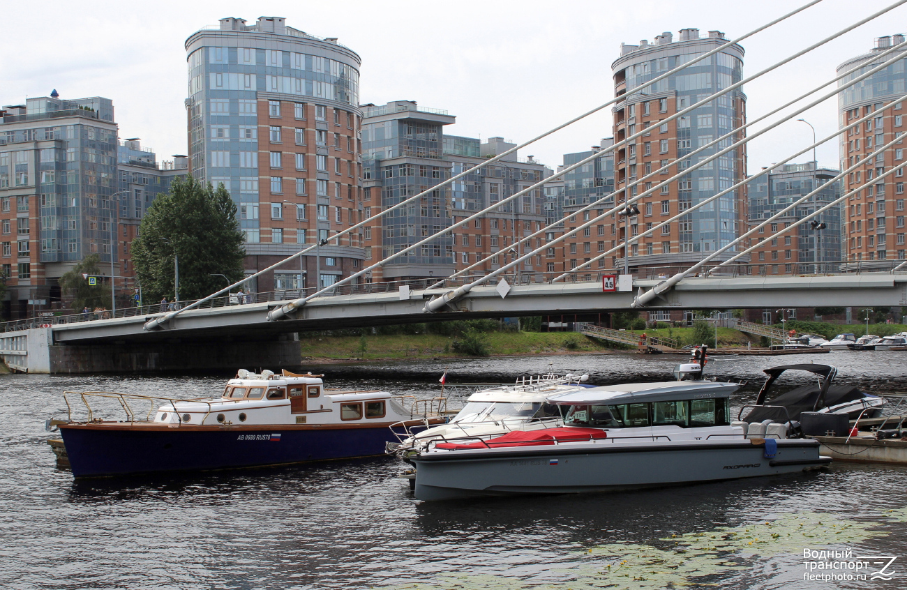 Митричъ, The Gray One