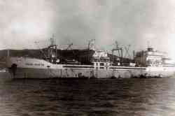 Рыбак Чукотки (Проект B-670 (ПНР), тип Конституция СССР, Владивосток)