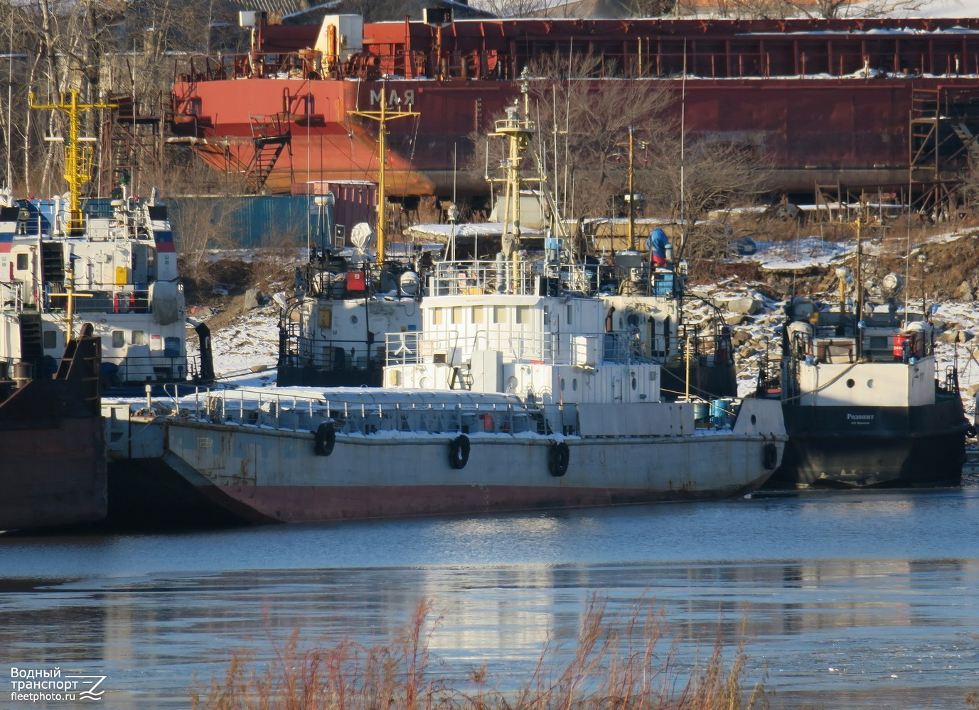 Тезей, Родонит, Мая