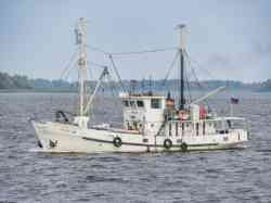 СЧС-1262 (Тип СЧС-150, проект 572, 572/23, 572/34, 572/34Б, 572/35, Саратов)