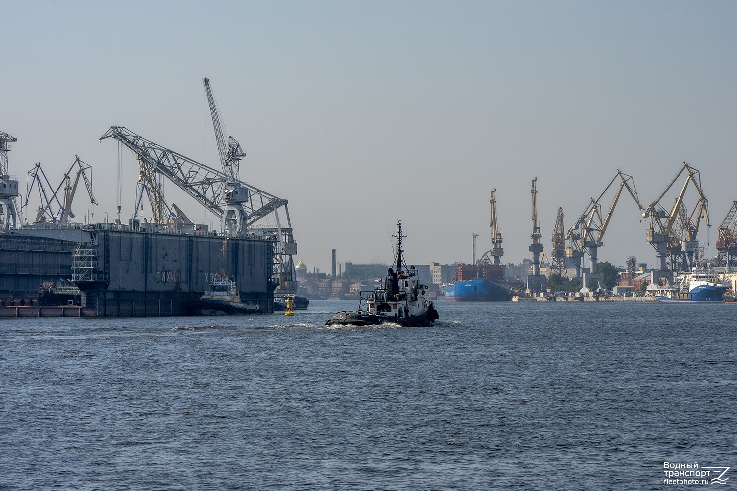 Михаил Сальников, Борей