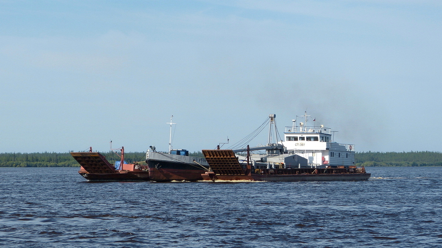 СТ-307, НГП-256