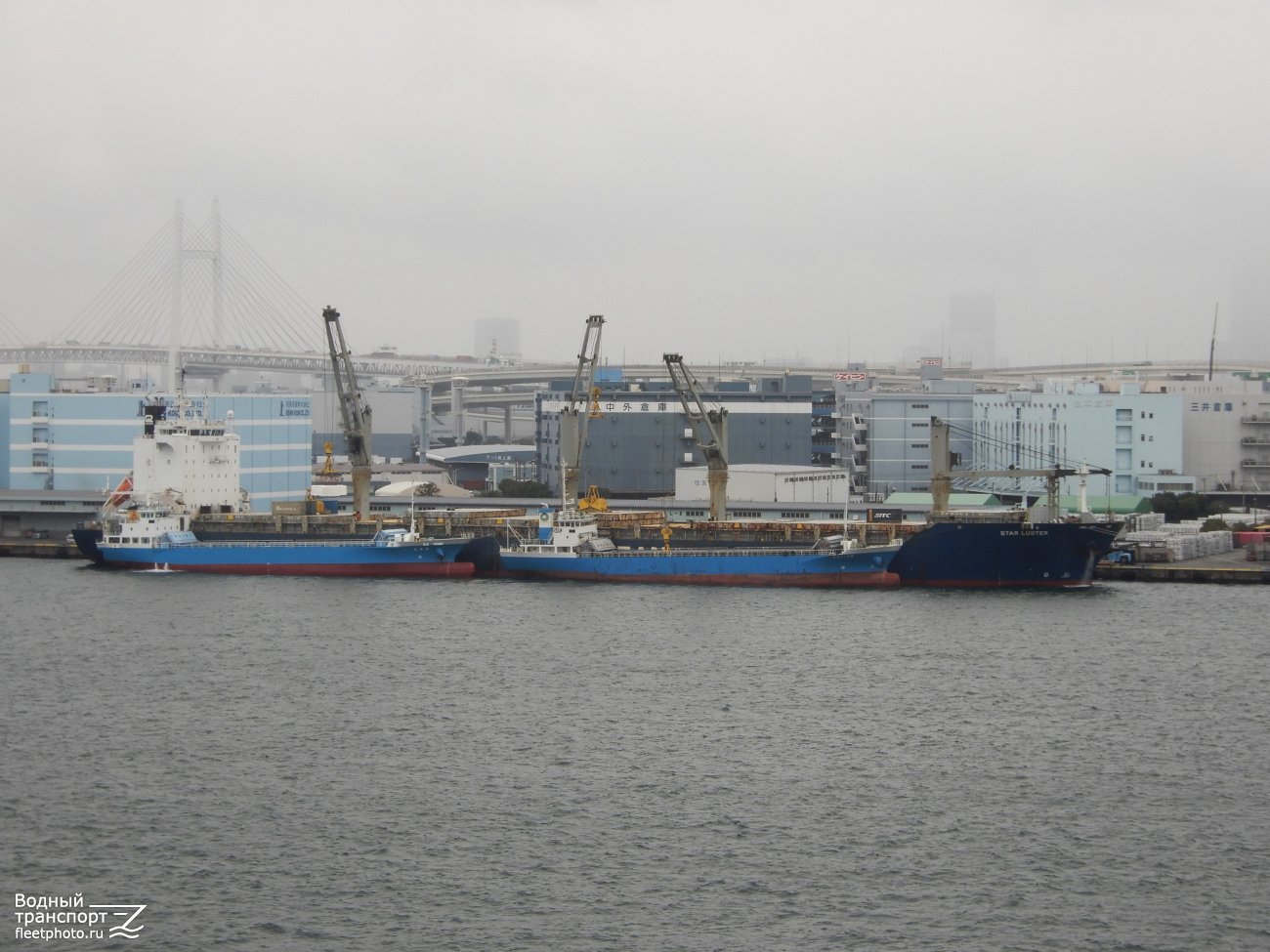 Star Luster. Неопознанные суда