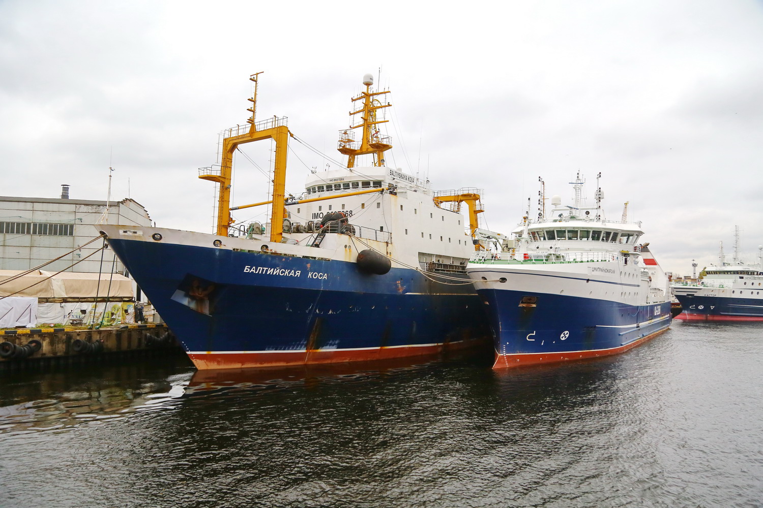 Балтийская коса, Дмитрий Кожарский