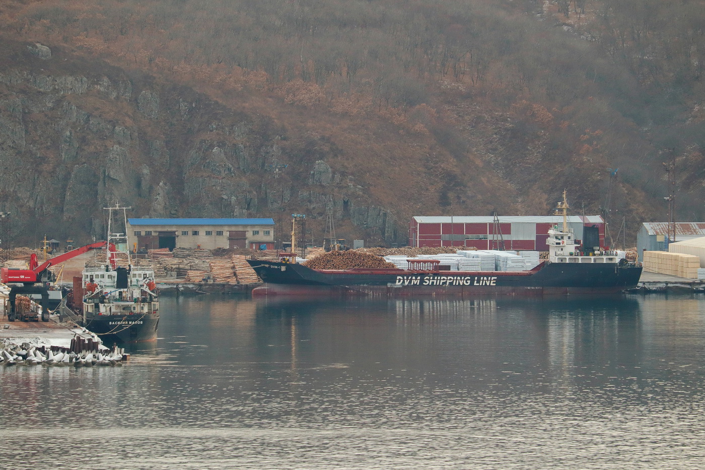 Василий Малов, DVM-1