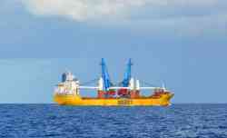 Happy Dragon (Тип Happy Delta, Амстердам)