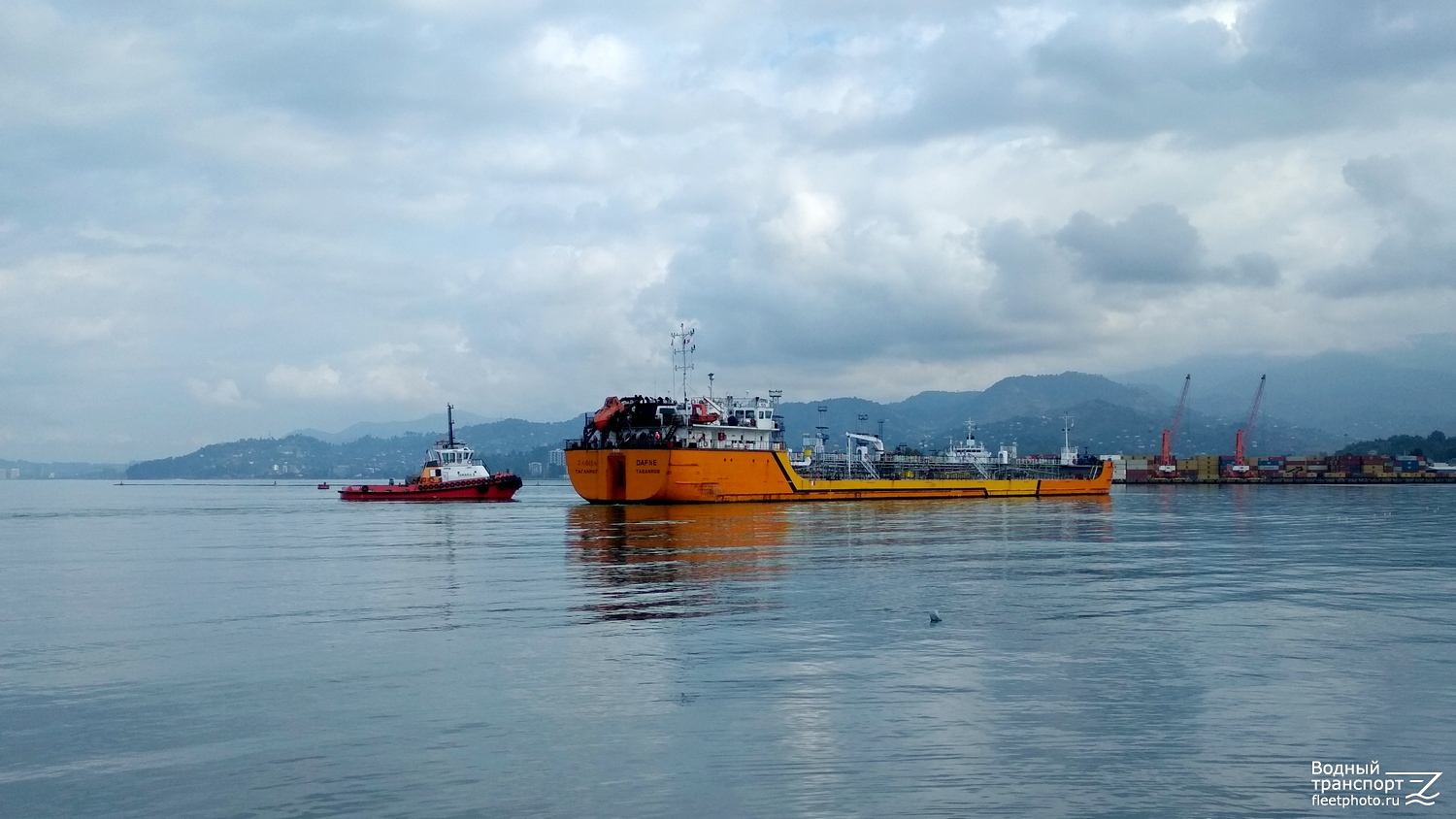 Tamara II, Дафна