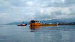 Tamara II (Буксиры, толкачи, буксиры-толкачи, Батуми); Дафна (Проект HCR08 (Китай), тип Каллиопа, Таганрог)