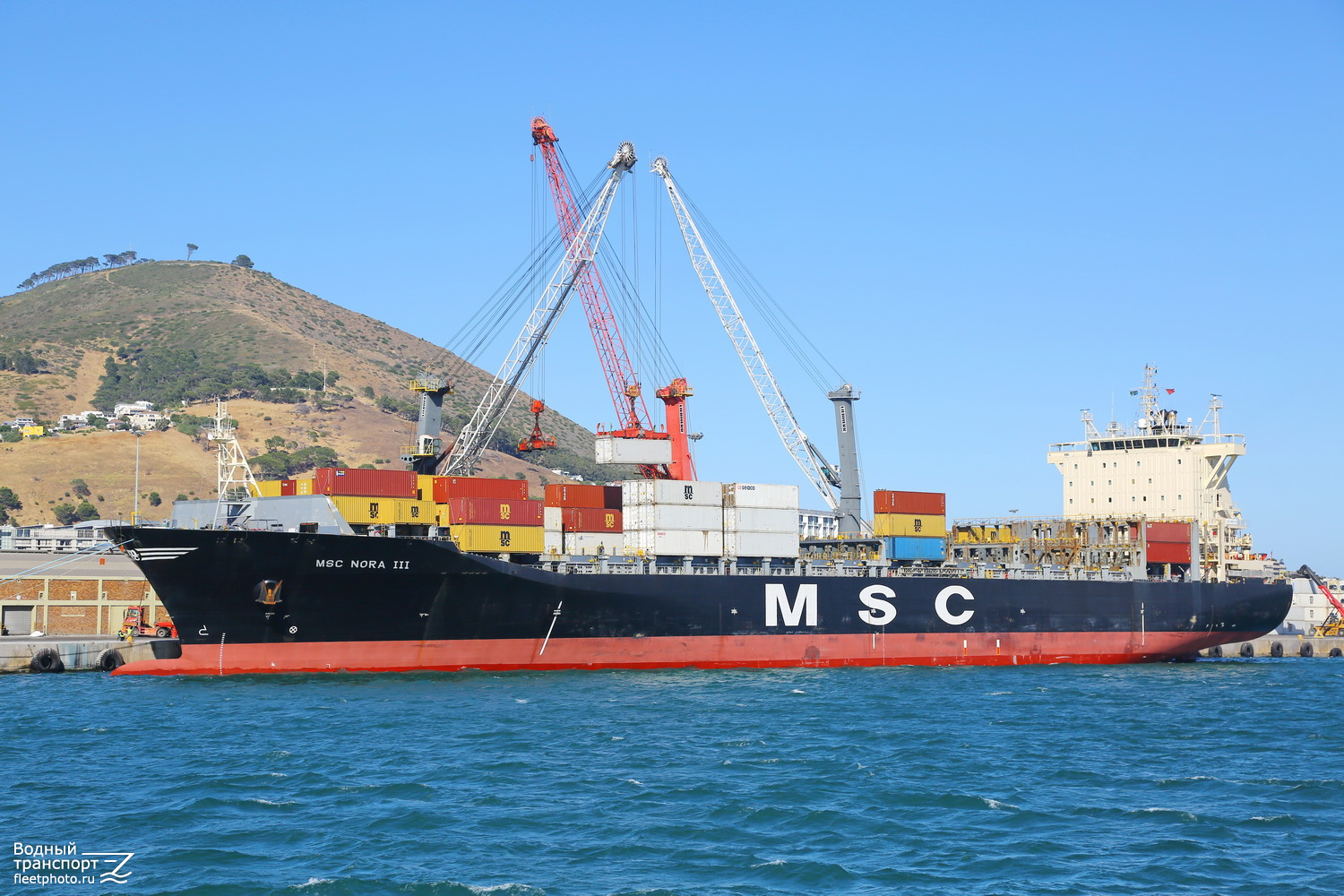 MSC Nora III