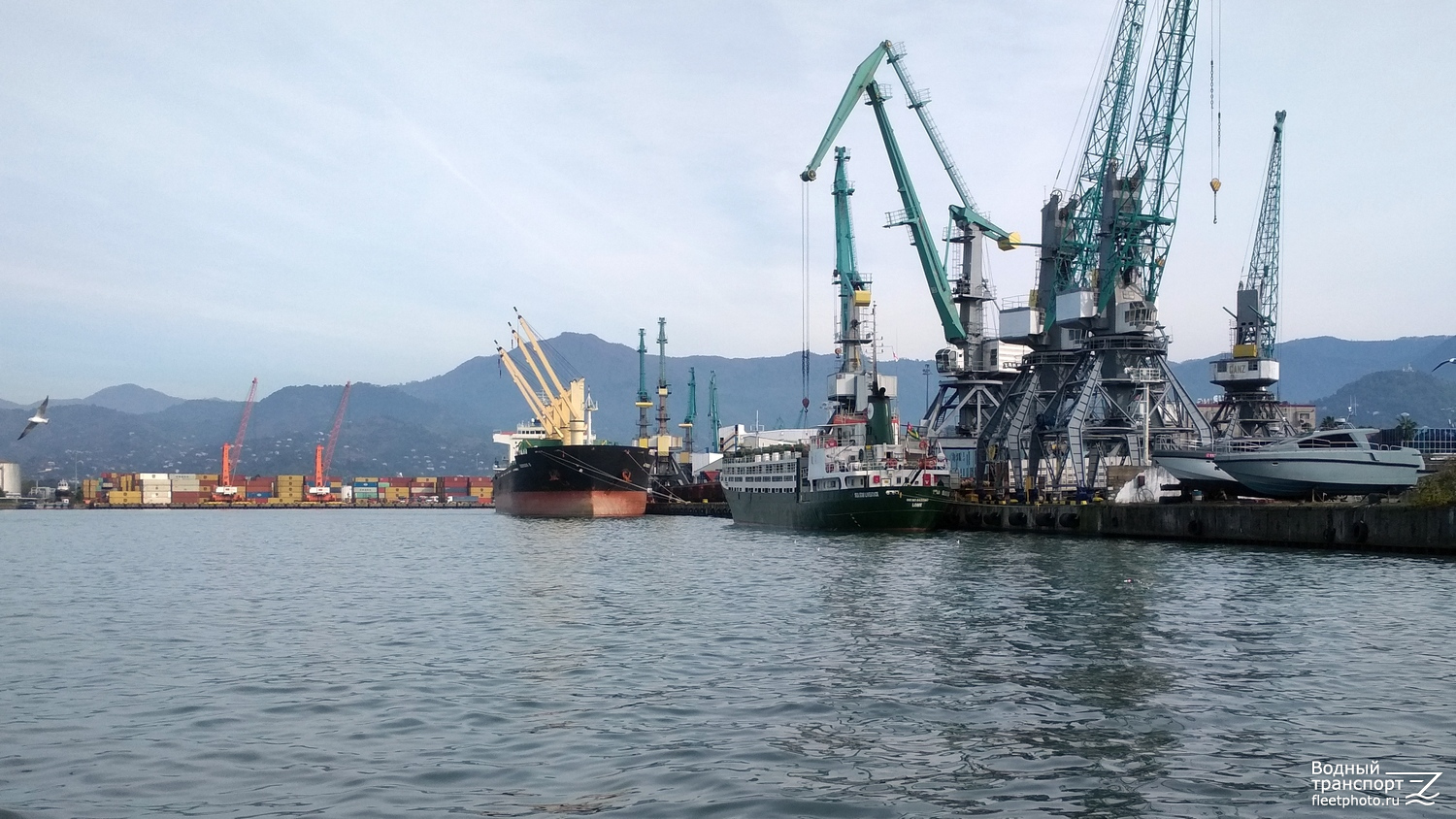 Giorgos B, Sea Star Livestock