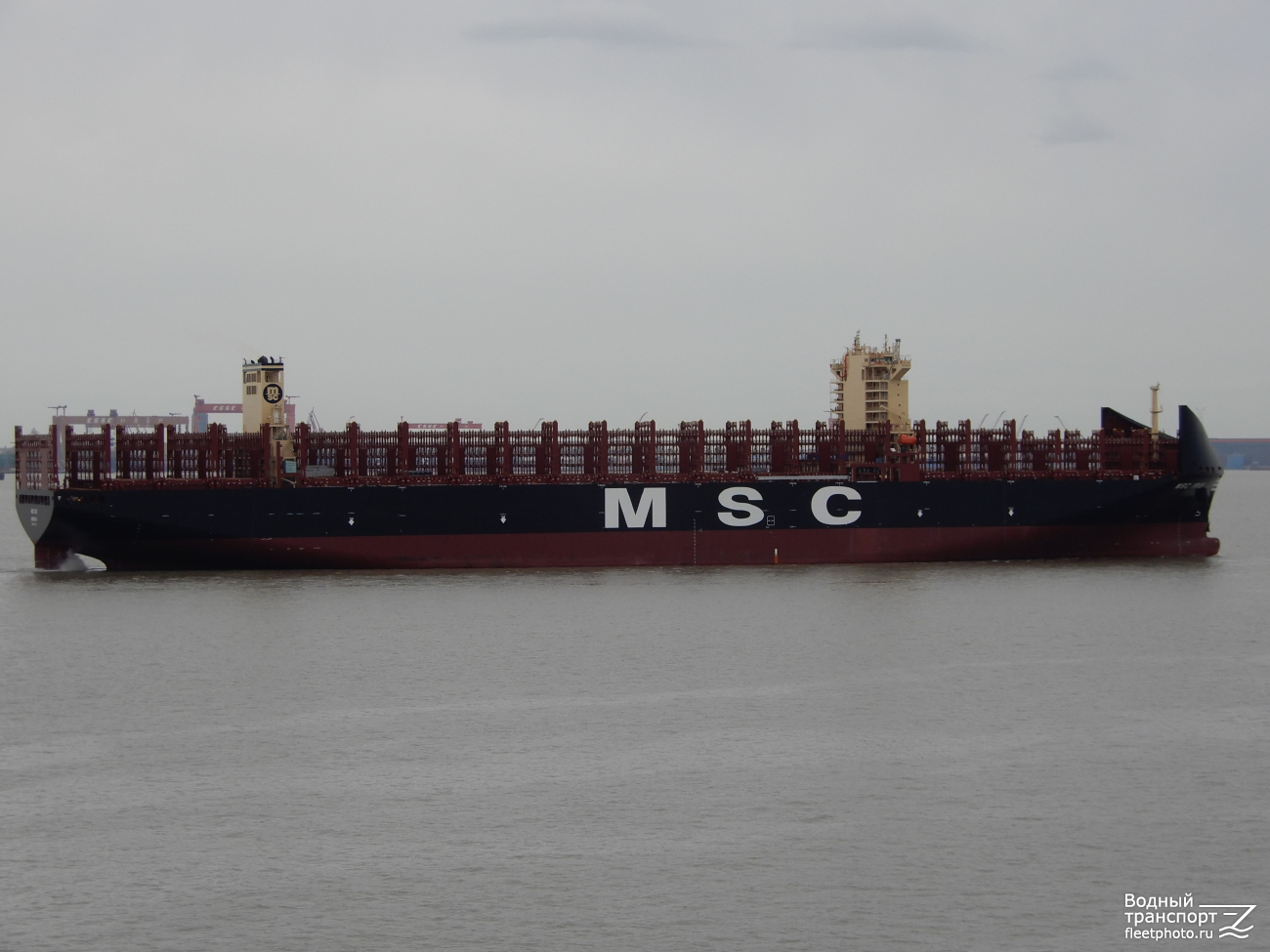 MSC Iris