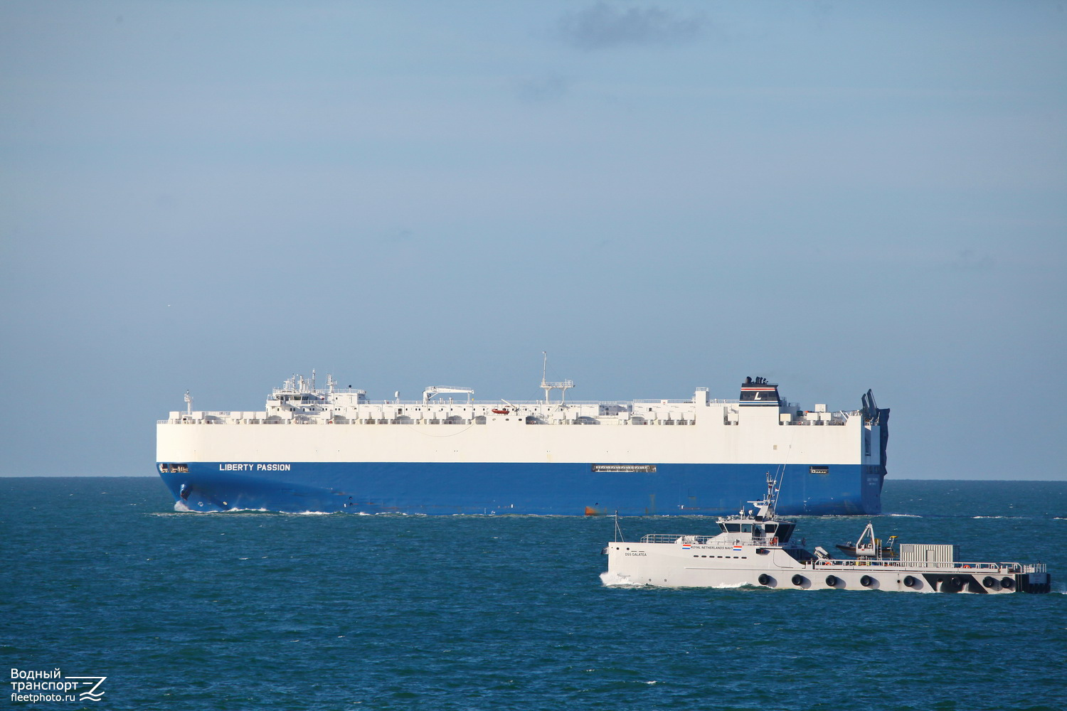 Liberty Passion, DSS Galatea