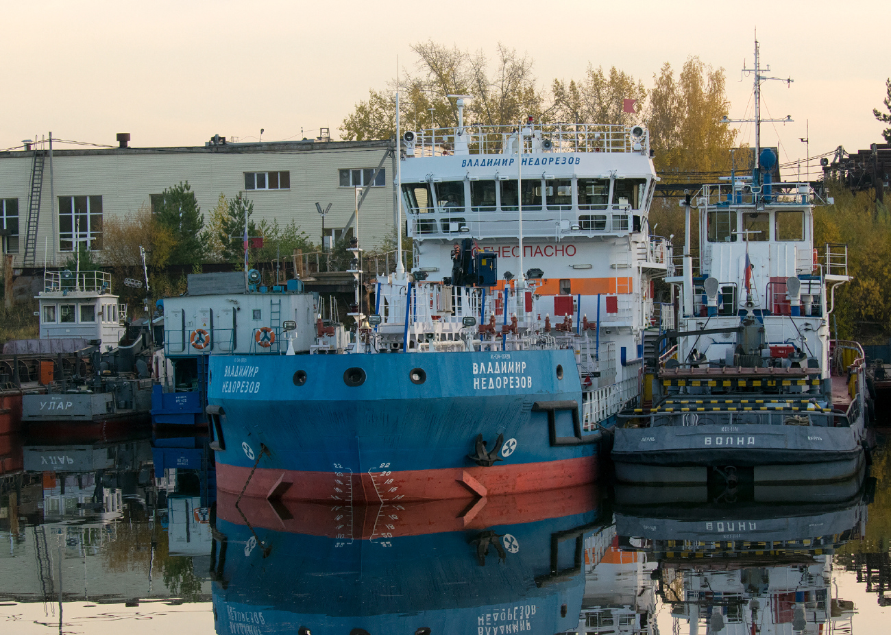 Владимир Недорезов, Волна