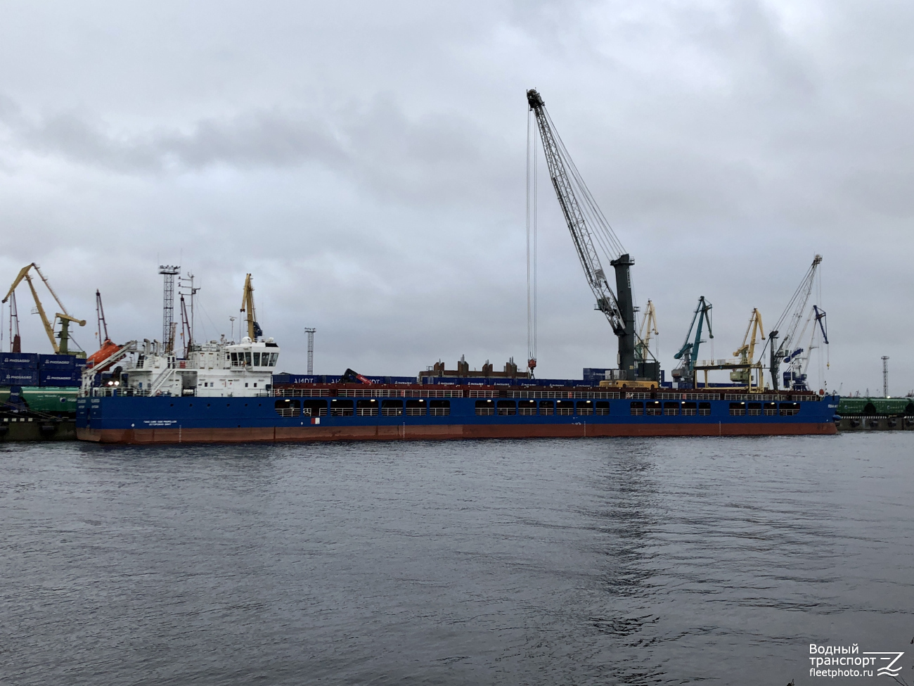 Пола Анастасия