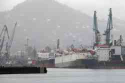 Snow (Тип Leknes, Панама); Neameh (Скотовозы, Панама); ATA 1 (Универсальные/генгруз, Панама)