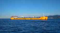 Gloriya (HCR08 (Китай), тип Каллиопа design, Taganrog)