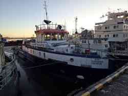 Шторм (Тип БТП, проект 81172, Москва); Путейский-404 (Тип Путейский (пр. Р-121, Р-121А), проект Р-121, Москва); Владимир Макаров (Проект 3052, Туапсе)