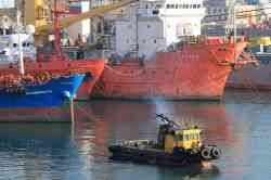 Триас (Тип Триас, проект (Япония), Корсаков); Диабаз (Проект 05031, тип Диорит, Корсаков); Владивосток (Танкеры, Владивосток); Агат (Буксиры, толкачи, буксиры-толкачи, Владивосток)