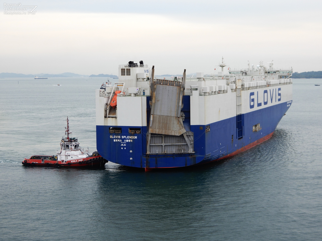 Noble Jade, Glovis Splendor