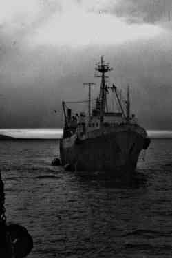 Кулой (Тип Яна, проект (ФРГ), Петропавловск-Камчатский); Узбекистан (Проект 394, тип Маяковский, Петропавловск-Камчатский)