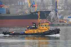 Nagasaki (Tugs, Pusher tugs, Vladivostok); Fu Ming 6 (Bulkers, Panama)