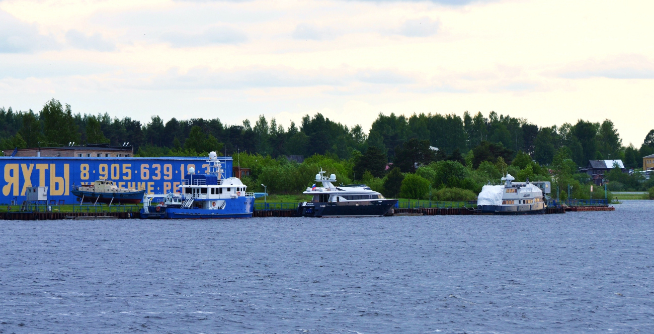 Фортуна, Северная тень, Elden, Одинокий волк