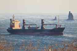 Славянка-007 (Проект 20150, шифр «Славянка», Анадырь); Elena (Тип Timca/Капитан Гришин, проект (Япония), Занзибар)