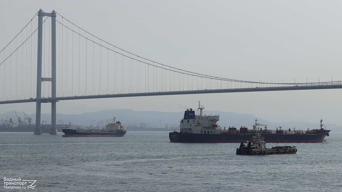 Oriental Cosmos, SCF Anadyr, Apiko S