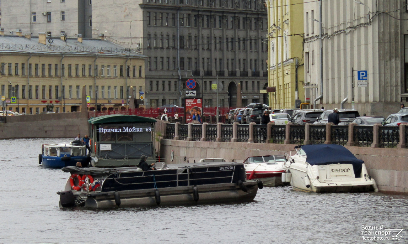 Нерпа, Тритон