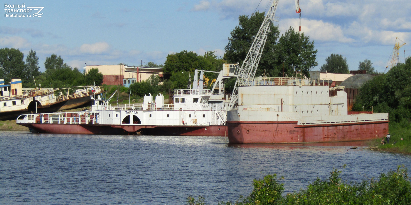 Тарлан, Тамбей