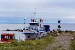 Shark (Тип Костромич, Листвянка)