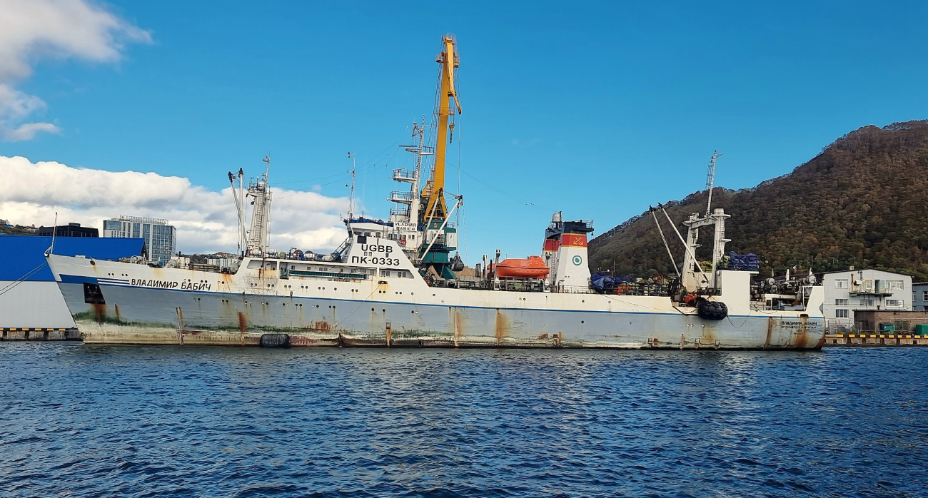 Владимир Бабич